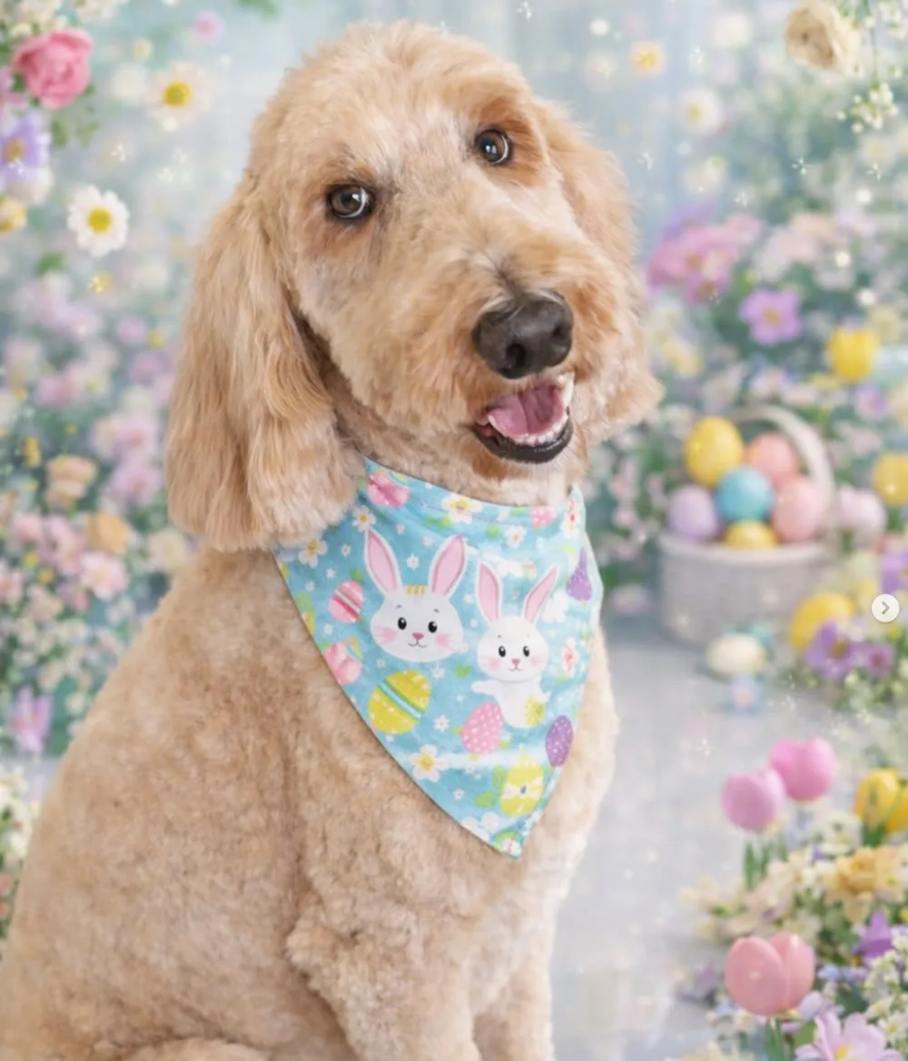 Easter mini session at Lux Pampered Paws